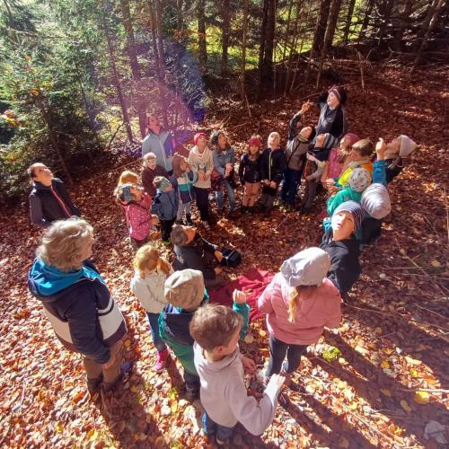 Kinder stehen im Wald in einem Kreis