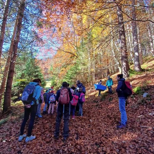 Viele Kinder in einem schönen Herbstwald
