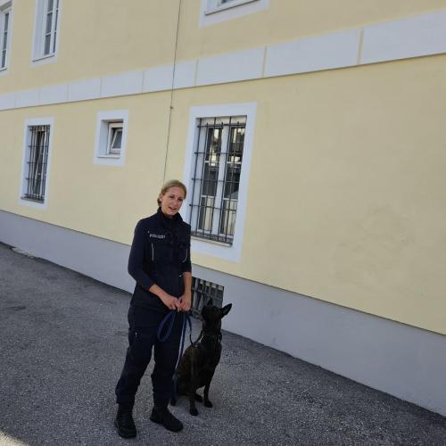 Eine Polizistin mit ihrem Polizeihund 