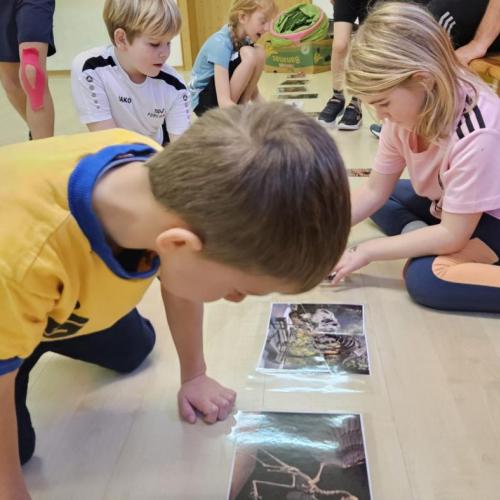Schüler betrachte Bilder von Dinosaurier