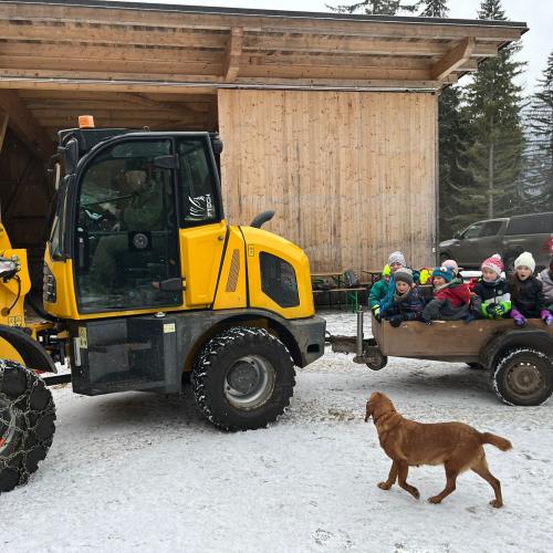 Kinder auf dem Weg zur Wildtierfütterung