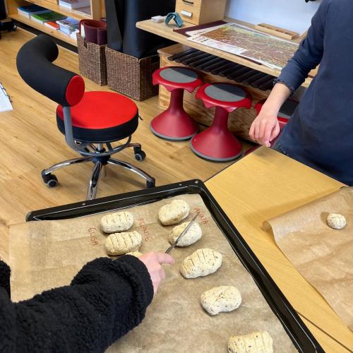 Brötchen werden auf das Backblech gelegt
