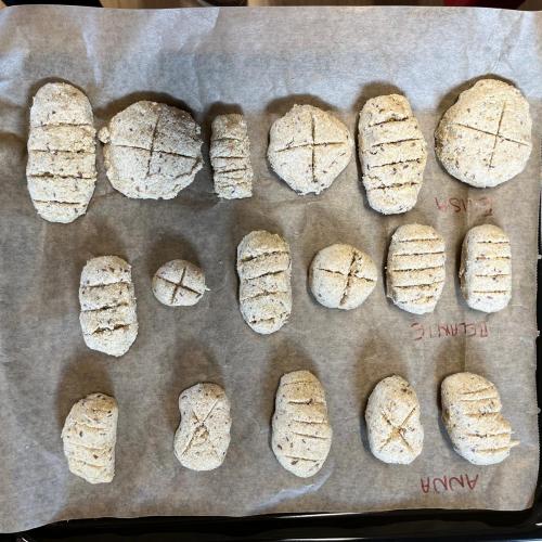 Brötchen bevor sie in den Ofen kommen