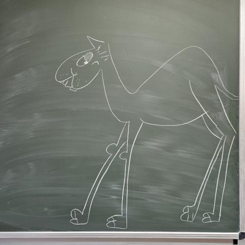 Die Autorin hat das Kamel und ihren Namen auf die Tafel gschrieben bzw. gezeichnet.