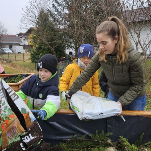 Praktikantin Anna füllt mit den Schülern das Hochbeet