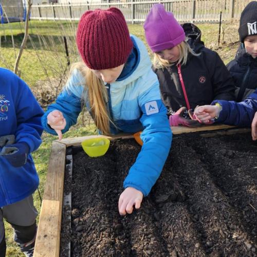 5 Schüler bepflanzen das Hochbeet