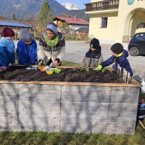 Jane zeigt den Schülern verschiedene Samen