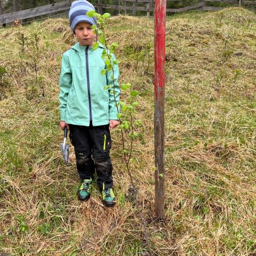 Kind mit seinem gepflanzten Baum