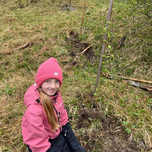 Kind mit seinem gepflanzten Baum