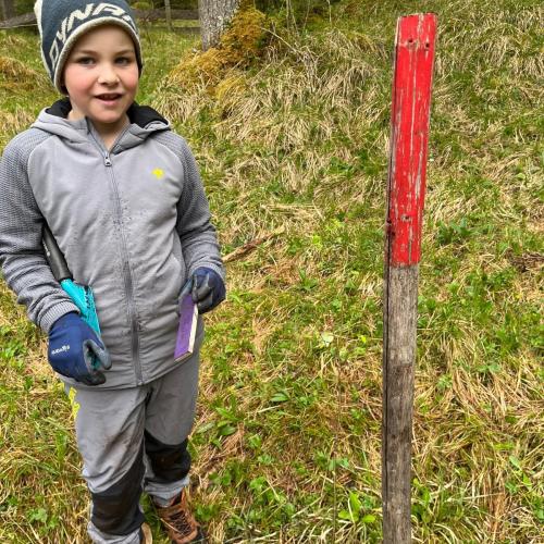 Kind mit seinem gepflanzten Baum