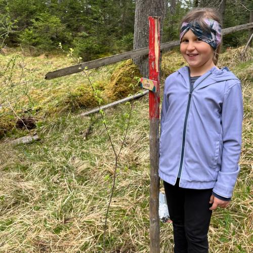 Kind mit seinem gepflanzten Baum