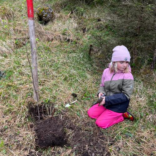 Kind mit seinem gepflanzten Baum