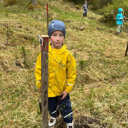Kind mit seinem gepflanzten Baum