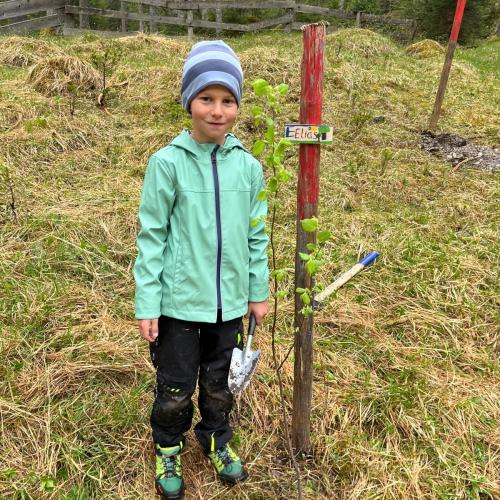 Kind mit seinem gepflanzten Baum