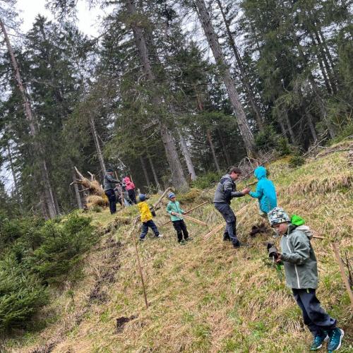 Kind mit seinem gepflanzten Baum