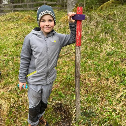 Kind mit seinem gepflanzten Baum