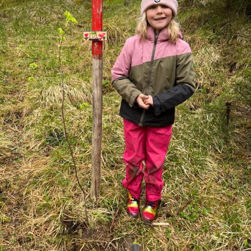Kind mit seinem gepflanzten Baum