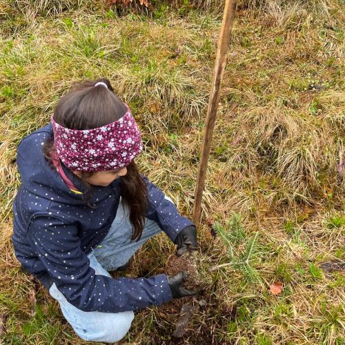 Kind pflanzt Bäumchen