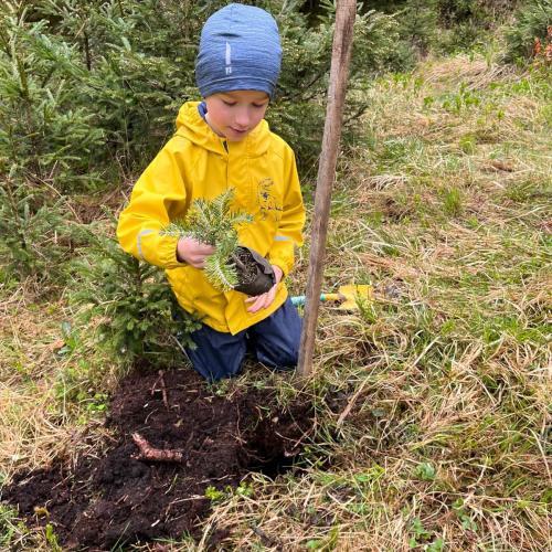 Kind pflanzt Bäumchen