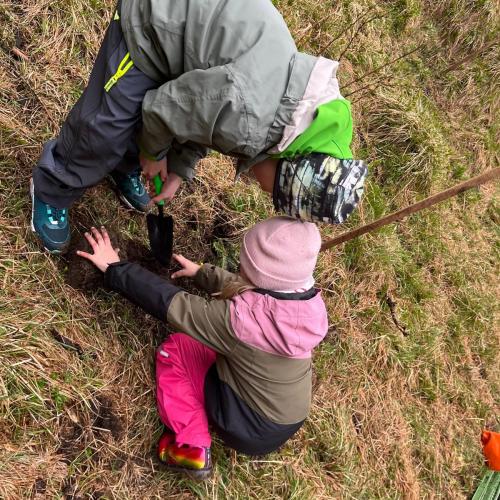 Kind pflanzt Bäumchen