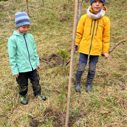 Kind pflanzt Bäumchen