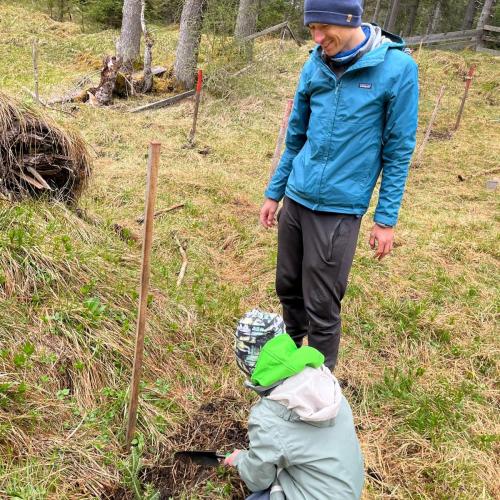 Kind pflanzt Bäumchen