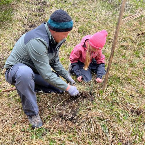 Kind pflanzt Bäumchen