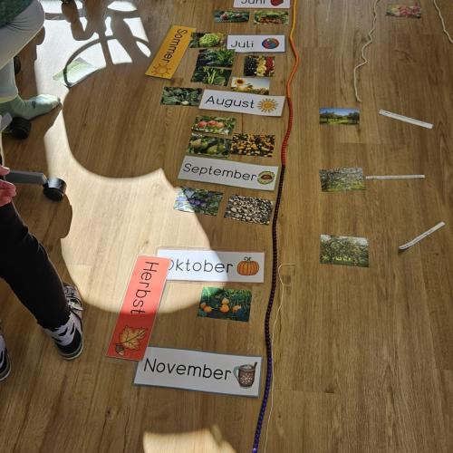 Pflanzenbilder sind zu einer Jahreskette zugeordnet 