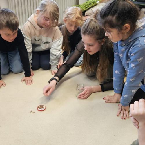 Anna zeigt den Schülern Samen