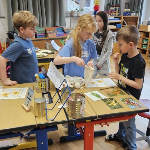 Schüler ordnen Samen den Pflanzen zu 
