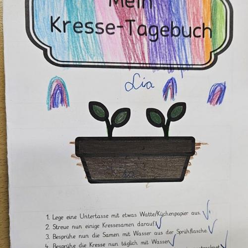 Kressetagebuch 