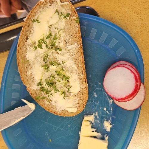 Butterbrot mit Kresse 