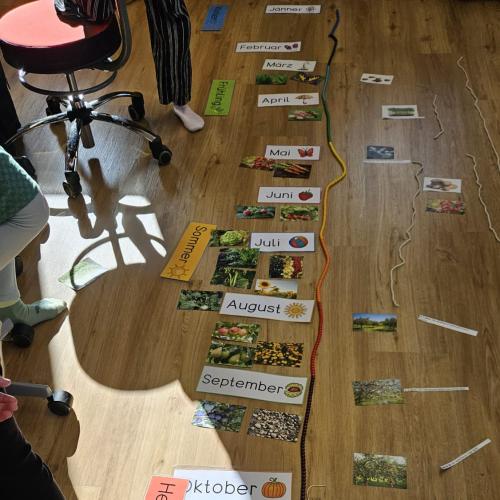 Die Schüler haben zu der Jahreskette  Pflanzen zugeordnet , wann diese wachsen
