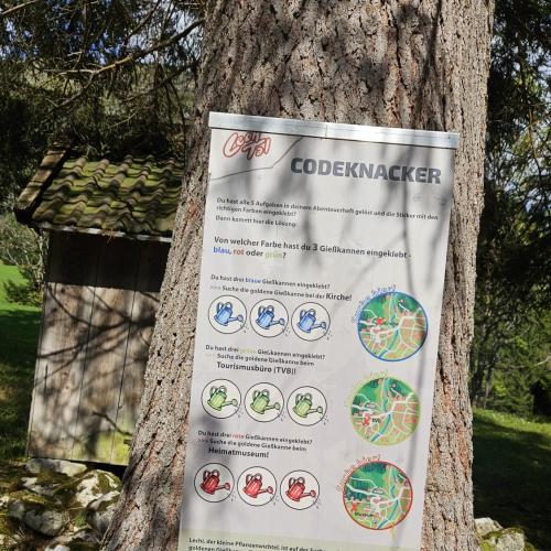 Plakat von den Lösungen - Gießkannen