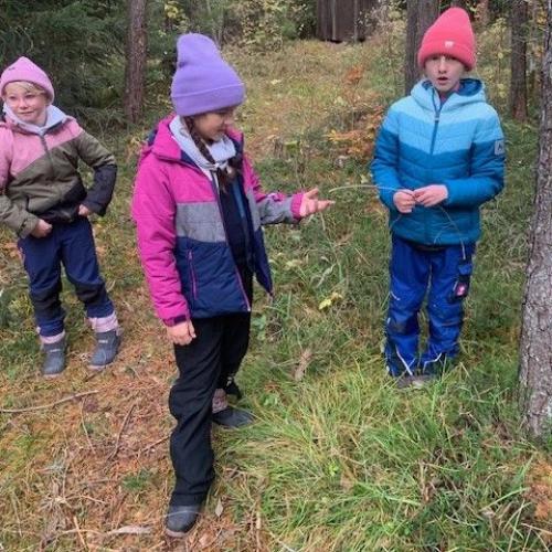 Bild von der Natopia Exkursion