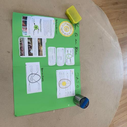 Gemeinsame Gestaltung eines Plakates