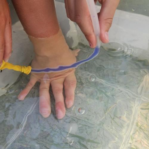 Experiment mit eienm Luftballon; Schlauch und gefärbten Wasser 