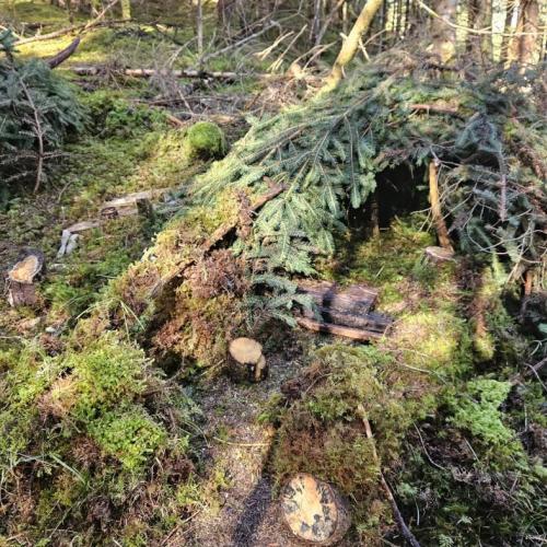 Ein aus Moos und Zweigen gebautes Wichtelhaus