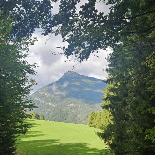 Blick durch Bäumen auf einen Berg