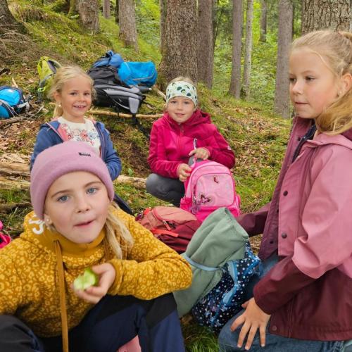 Schüler jausnen im Wald