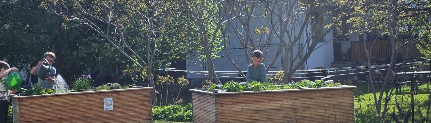 Zwei Hochbeete vor Sträuchern