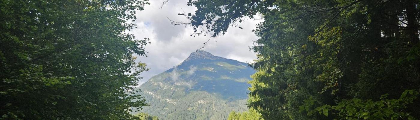 Blick durch Bäumen auf einen Berg