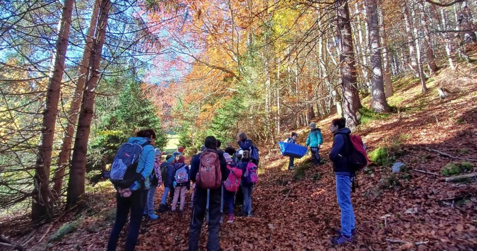 Viele Kinder in einem schönen Herbstwald